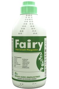Fairy Bottle..