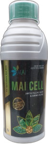 MAI Cell