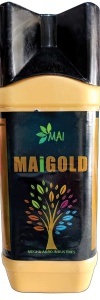 MAI_GOLD_2